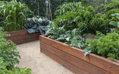 Garden Beds – What to use?