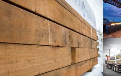 Pressure Treated Wood, Is the price difference worth it?